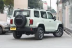 Tank 300 Time Traveler Compact SUV– Buy Direct From China | Electric Cars From China for Sale